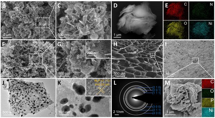 Multifunctional cellulose-based aerogel for electromagnetic and fire–acoustic protection