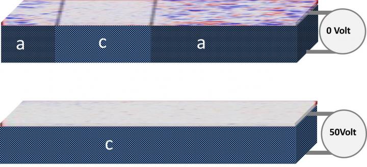 Sketch of the Sample and Results