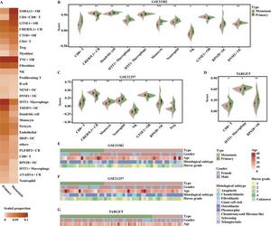 GTSE1+ OB cells and CREB3L1+ CB cells were enriched in metastatic tumors.