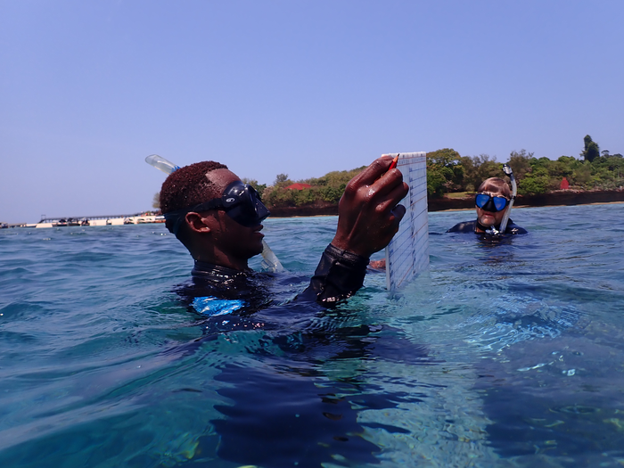 Tanzania Field Research