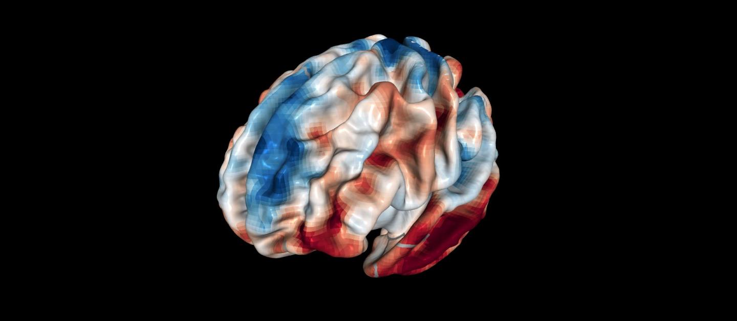 It's the Thought that Counts: The Neuro-Anatomical Basis of Forgiveness Revealed