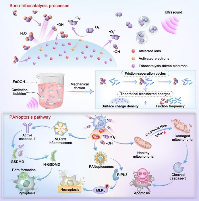Schematic depiction of the preparation of FeOOH NRs for STT-based tumor treatment.