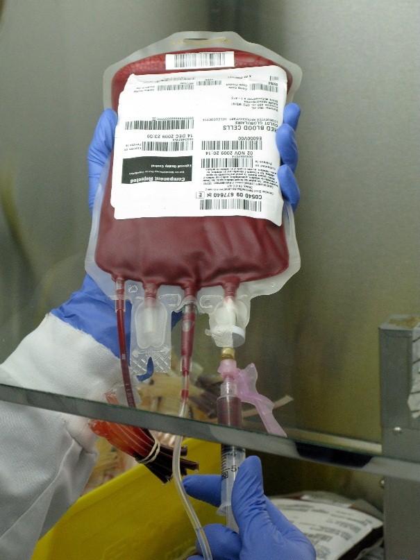 Red Blood Cell Unit