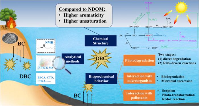 Analytical methods, molecular structures and biogeochemical behaviors of dissolved black carbon