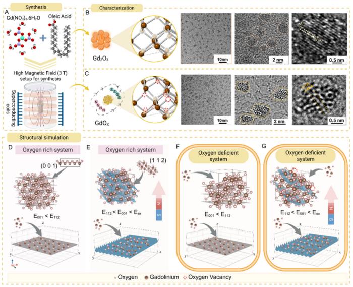 Steady Magnetic Field Boosts MRI Performance of Gadolinium Oxide Nanoprobes