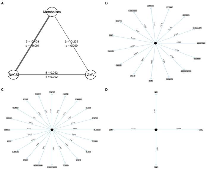 Insulin Resistance and Leptin Dysregulation Impact In Vivo Brain Structure and Cognitive Functioning in Mood Disorders: A Multimodal Partial Least Squares Path Modeling Study