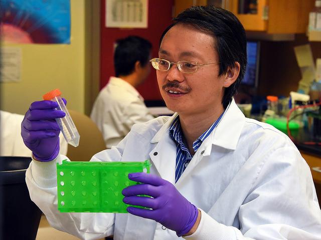 Dr. Zheng Dong, Medical College of Georgia at Augusta University