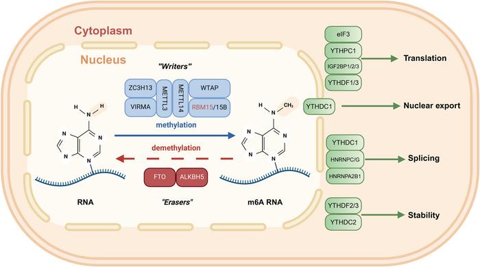 FIG 1