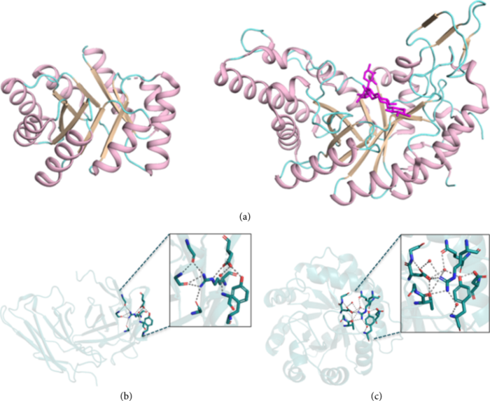 Fig. 1 Natural proteins comprise conserved but nonideal features.