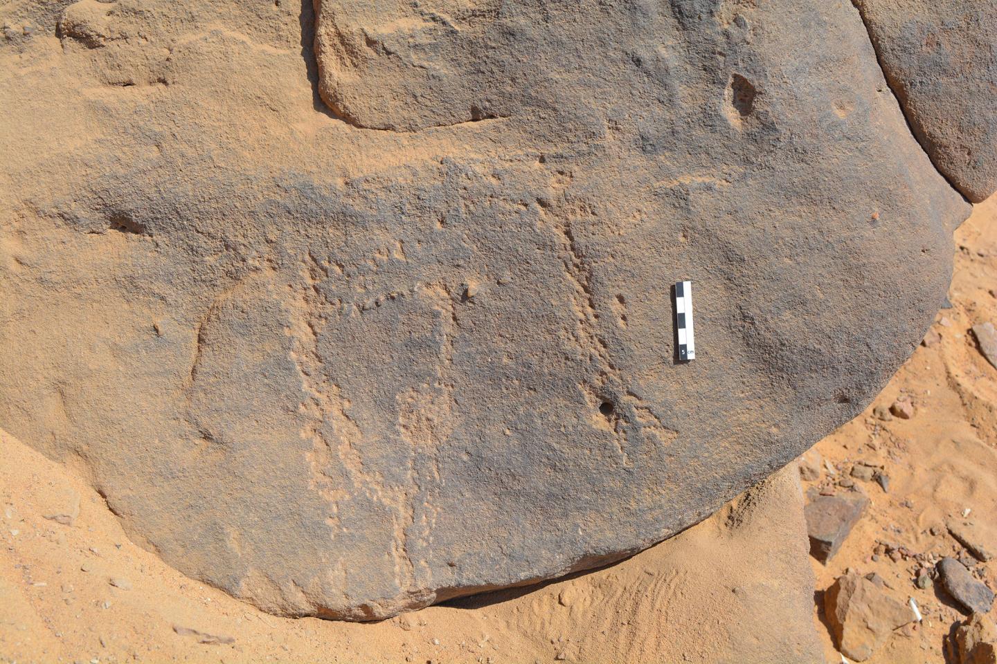 6000-Year-Old Rock Engravings
