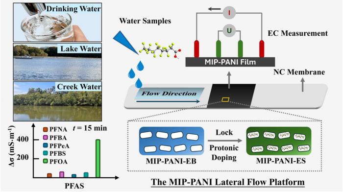 MIP-PANI