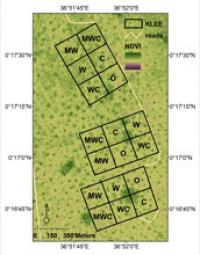 Map of the Study Site 