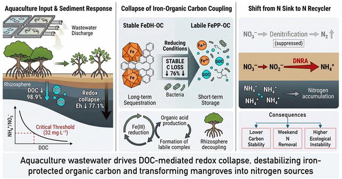 Image source - https://www.eurekalert.org/news-releases/1144493