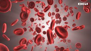 BGI Genomics High Efficiency of Severe Thalassemia Prevention with HTS based Carrier Screening