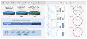 Mechanistic evaluation of duckweed intervention on reactive nitrogen gas fluxes from paddy soils
