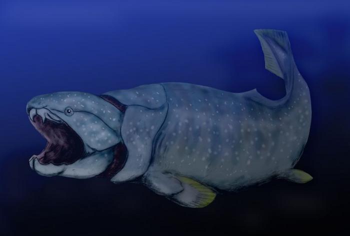 Artist's rendering of Dunkleosteus