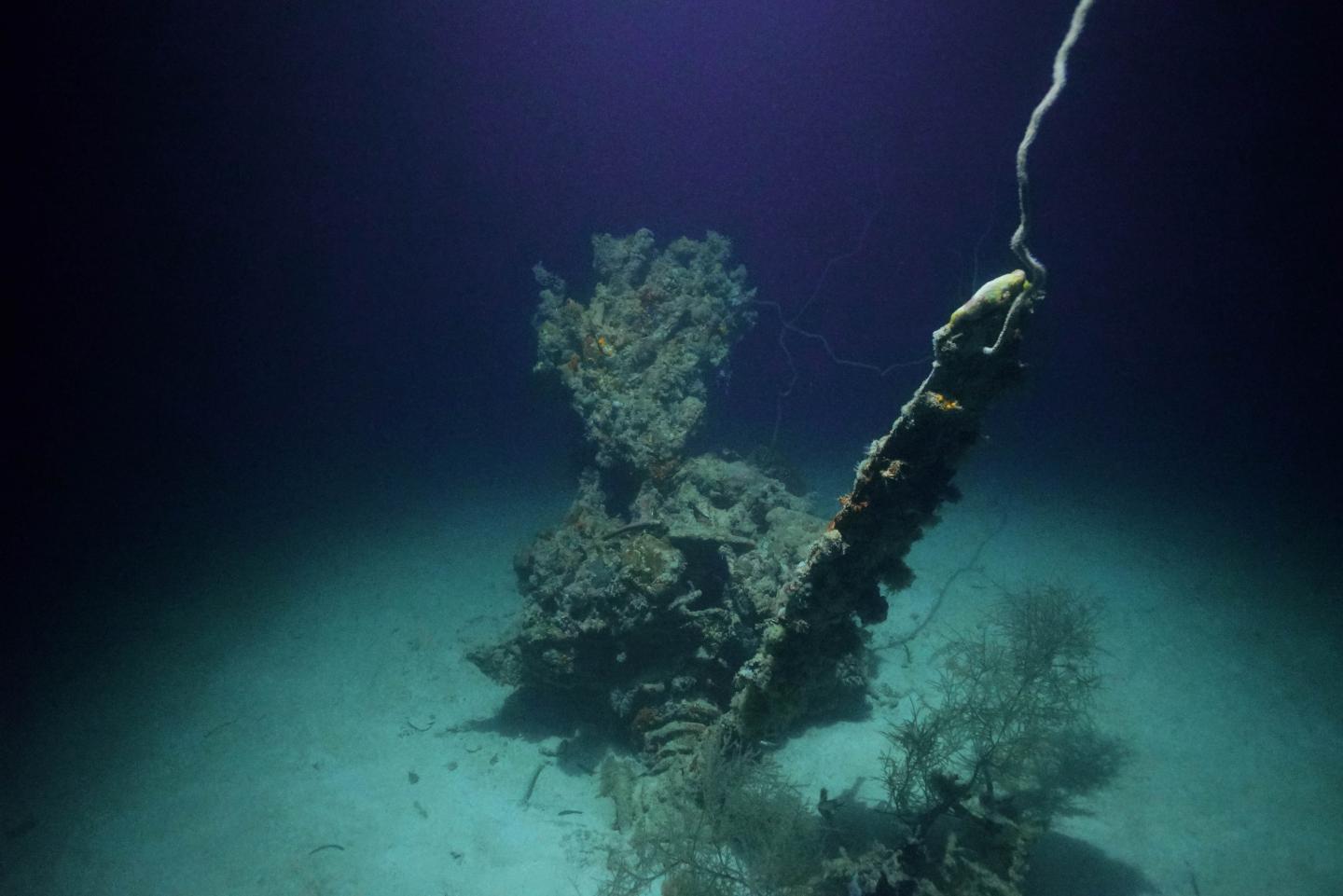 Lost World War II Aircraft Found (3/3)