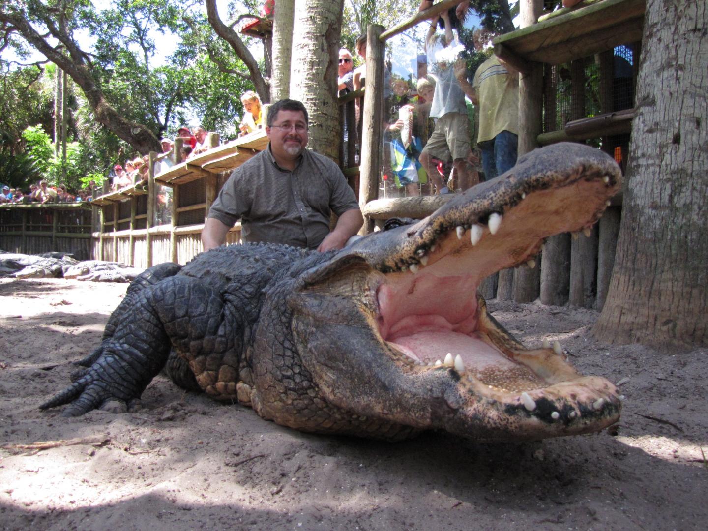 Gator Blood -- New George Mason Univ. Research