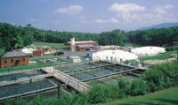 Wastewater