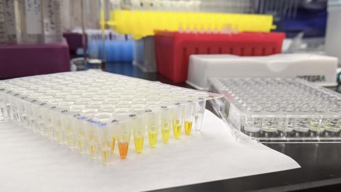 Researchers identify promising new compound to treat tuberculosis