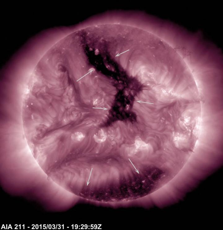 NASA's SDO Sees Two Coronal Holes on the Sun