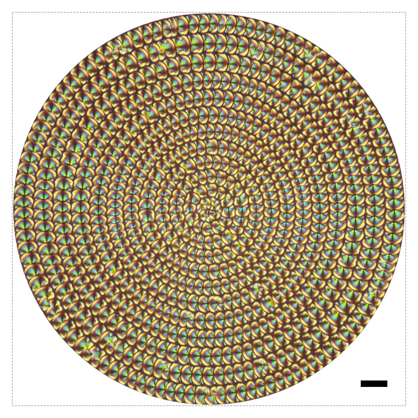4D Imaging with Liquid Crystal Microlenses