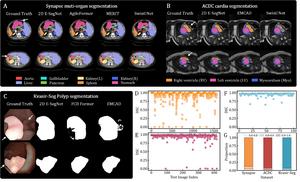 Figure 2. Performance on 2D medical image segmentation tasks