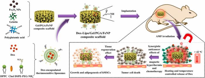 Figure 4 Preparation of composite scaffolds and schematic illustration of their application to magneto-thermal therapy and controlled chemotherapy
