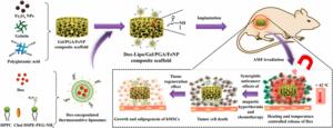Figure 4 Preparation of composite scaffolds and schematic illustration of their application to magneto-thermal therapy and controlled chemotherapy