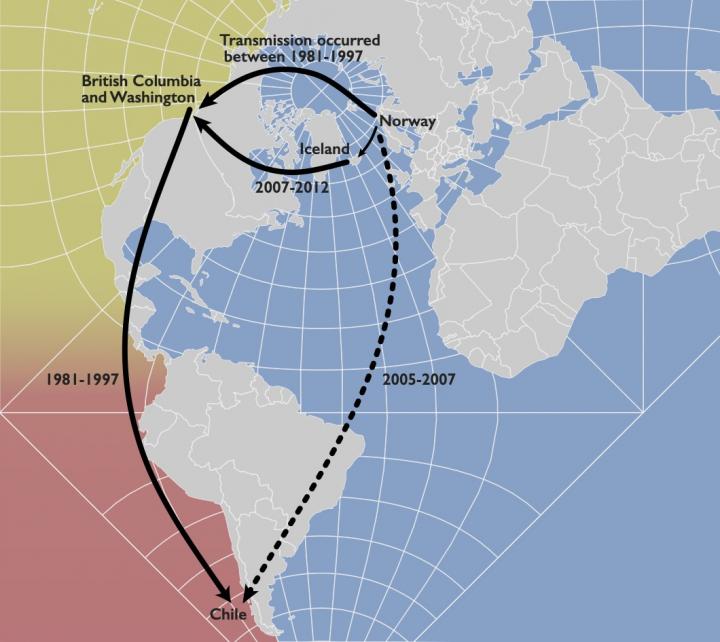 Global transmission map