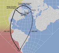 Global transmission map
