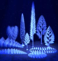 Paleontological Reconstruction of Rangeomorph Fronds (2 of 2)
