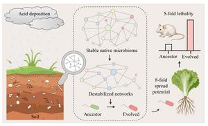 Acid deposition fuels pathogen risk through a coupled ecological and evolutionary cascade
