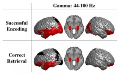 Gamma Oscillations Distinguish True from False Memories