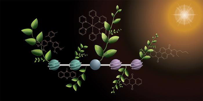 A step towards artificial photosynthesis