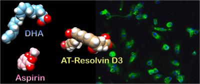 Aspirin and Omega-3 Fatty Acids Work Together to Fight Inflammation