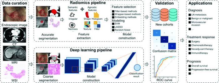 AI improving digestive cancer diagnosis