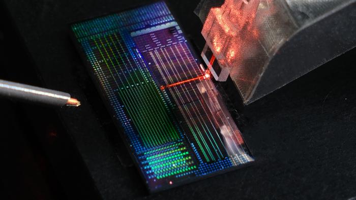 Optical chip