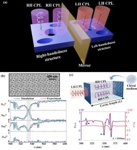 Schematic diagram of different chiral spin-preserving metamirror.