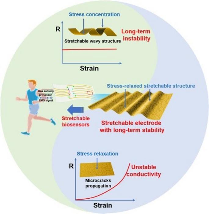 Hybrid Microstructure Enhances Stretchable Biosensor Stability.