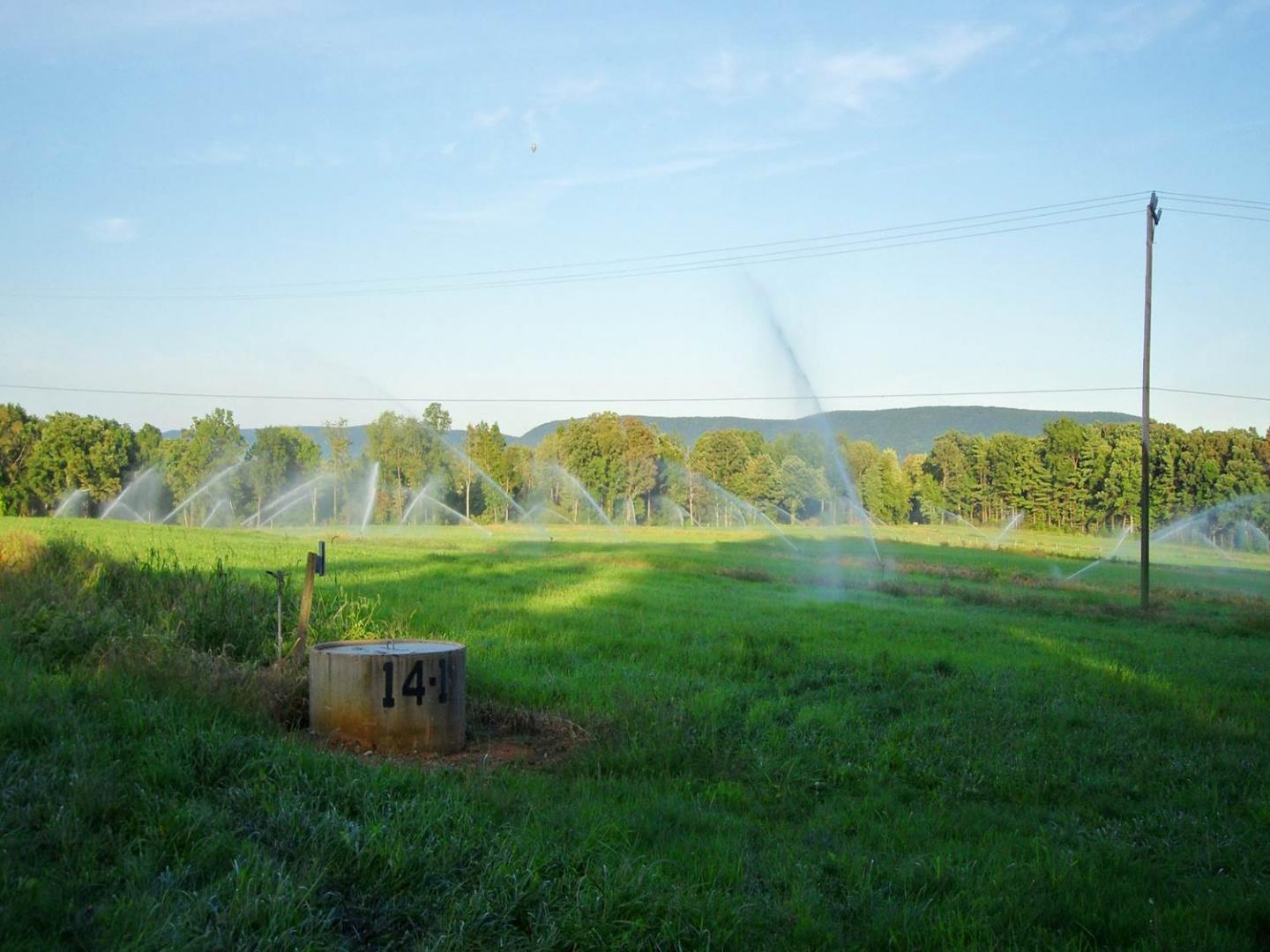Active Sprinklers