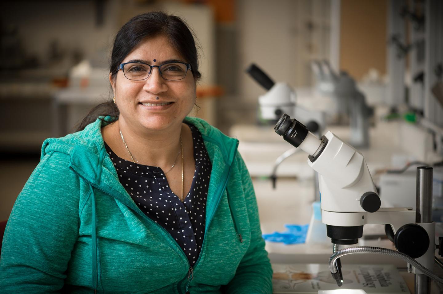 Sandhya Payankaulam, Michigan State University