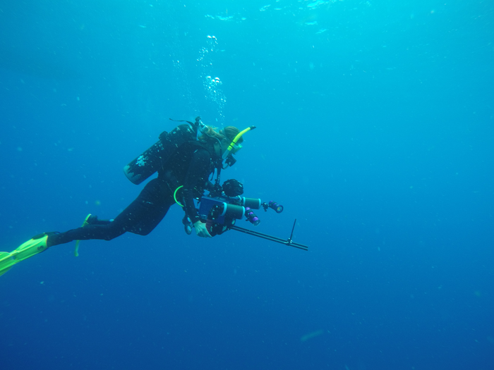 A Supersized Spiral Swimmer