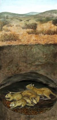 <i>Filikomys primaevus</i> in Burrow
