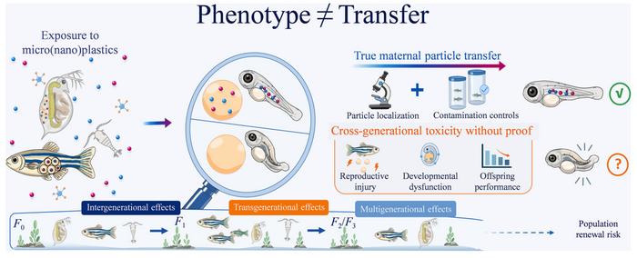 Maternal particle transfer versus cross-generational toxicity of micro(nano)plastics in aquatic organisms: a critical evidence-classification review