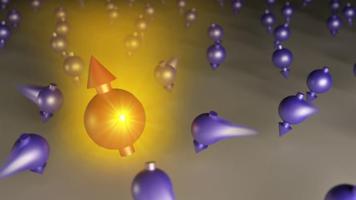 Polaritons