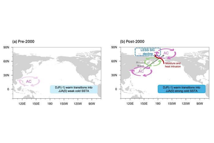 Schematic diagram of sea ice loss over the Laptev and East Siberian Seas during El Niño events.