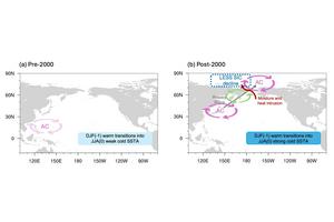 Schematic diagram of sea ice loss over the Laptev and East Siberian Seas during El Niño events.