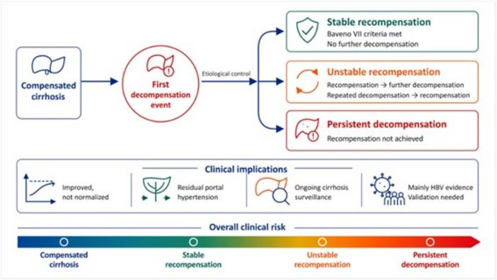 A Four-State Framework for Cirrhosis After Etiological Control