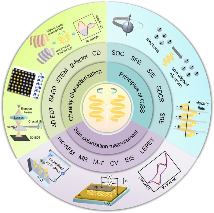 A Unified Framework for the CISS Effect: Bridging Principles, Characterization, and Applications